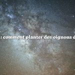 Question : comment planter des oignons égyptiens